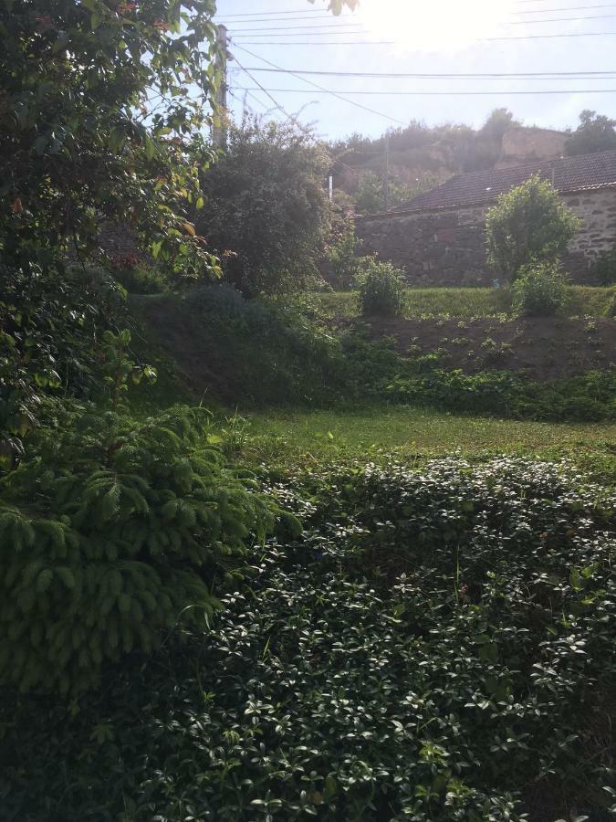 Bogoly * Tokaj